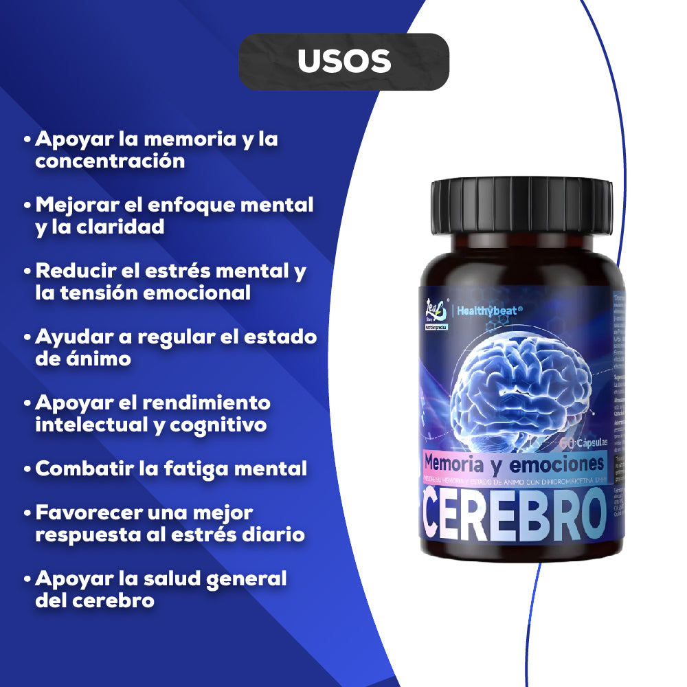 CEREBRO MEMORIA Y EMOCIONES