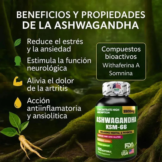 2 Ashwagandha KMS66 + obsequio
